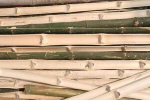 bamboo fence wall background for any use photo
