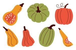 Flat style pumpkin set with colorful autumn gourds and squash. Perfect for fall-themed designs, illustrations, or seasonal decor. Add a touch of autumn to any creative project. vector