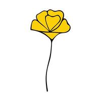The wild flower is yellow in isolation on a white background. vector