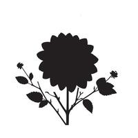 black Dahlia with branch image white background vector