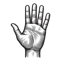 Hand palm outline image with white background vector