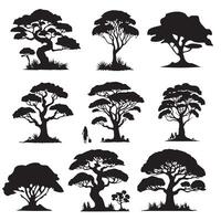 various deciduous trees silhouettes on the white background vector