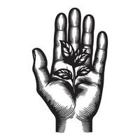 Hand palm outline image with white background vector