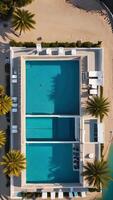 Aerial view of a large swimming pool surrounded by tropical palm trees, few chairs and umbrellas scattered around. video