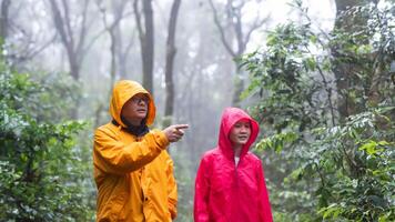 Father and daughter hiking exploring a lush forest photo