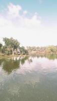 Beautiful colorful summer spring natural landscape with a lake in Park video