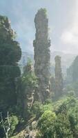 A group of rocks in a serene forest setting in China video