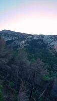 A mountain with pine trees in the foreground, escaping from the fire and green forest. video