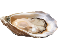 An open oyster icon on a transparency background png