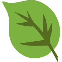 A green leaf icon on a transparent background png