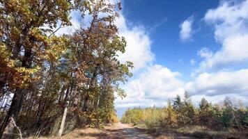 Autumn Landscapes Falling leaves in the forest road, floating clouds with space for your text video