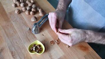 hands of a man cracking walnuts with a nutcracker video