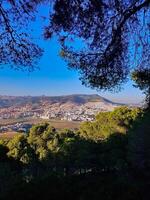 Tetouan Cityscape Framed by Pine Trees Overlooking Tetouan Natural Beauty From a Unique Vantage Point photo