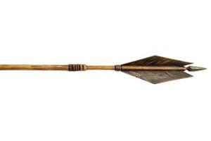 Traditional wooden arrow with plumage photo