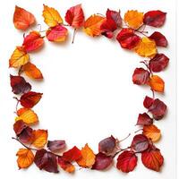 A vibrant autumn wreath made from colorful leaves and red berries arranged on a white background to celebrate the fall season photo