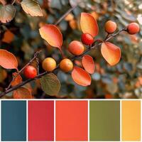 Vibrant autumn leaves showcase a stunning array of colors in a tranquil setting during the fall season photo