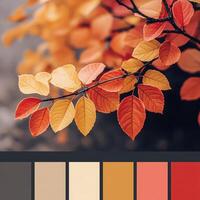 Vibrant autumn leaves showcase a stunning array of colors in a tranquil setting during the fall season photo