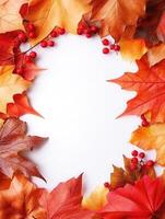 Autumn leaves and red berries arranged in a vibrant display on a white background capturing the essence of fall harvest season photo