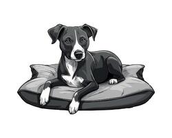 A cartoon black and white dog is sitting on a pillow vector