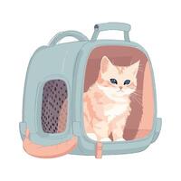 A cat is sitting inside a small blue suitcase vector