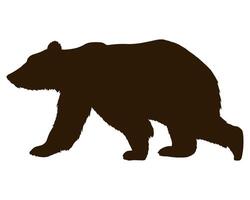 A silhouette of a bear walking on a white background vector