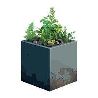 A plant in a concrete box vector