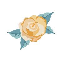 A yellow rose with leaves on it vector