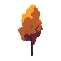 Autumn tree illustration vector