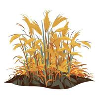 A field of yellow grass with tall grasses vector