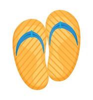 Pair of flip flops on white background vector