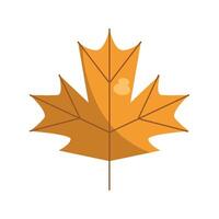 A maple leaf with a heart on it vector