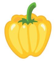 A yellow pepper on a white background vector