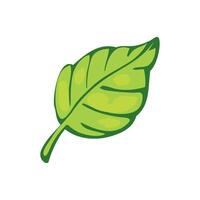 A green leaf icon on a white background vector