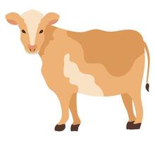 A cow standing on a white background vector