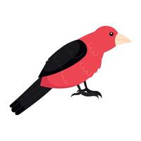 A red and black bird with a black beak vector