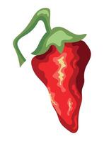 A red pepper with a green leaf on it vector