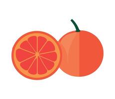 An orange and a half cut in half vector