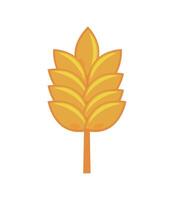 A yellow wheat leaf icon on a white background vector