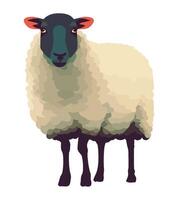 A sheep with a black nose and red ears vector