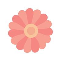 A pink flower with a white center on a white background vector