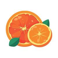 Orange slices with leaves on a white background vector