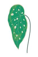 A green leaf with spots on it vector