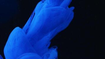 Beautiful stream of ink mist in water. Stock footage. Gentle slow flow of colored ink in water. Fluid art with ink streams video