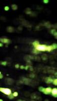 Colorful rows of small dots rotating on black background, seamless loop. Animation. Green bokeh cloud spinning and moving. video