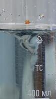 Fluid changes color after mixing. Close-up of colorful flask in which the liquid is mixed by a special device video