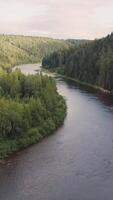 Top view of the river in the mountains surrounded by a green forest. Clip. Top view of the river in the forest video