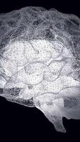 Abstraction of human brain structure on black background. Futuristic scientific and technical brain connections in roentgen. Interlacement of connections in brain in rotating motion. Concept of video