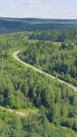 Aerial view of a road in autumn surrounded by pine tree forest. Clip. Top view of the road in the forest video