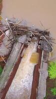 Aerial top view of a river and a dam of tree trunks. Clip. Dirty river and green trees. video