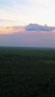 Top view of forest and sunset rays of sun in clouds. Clip. Horizon with dense forest and sunset in clouds. Green forest valley to horizon with sunset in cloudy weather video